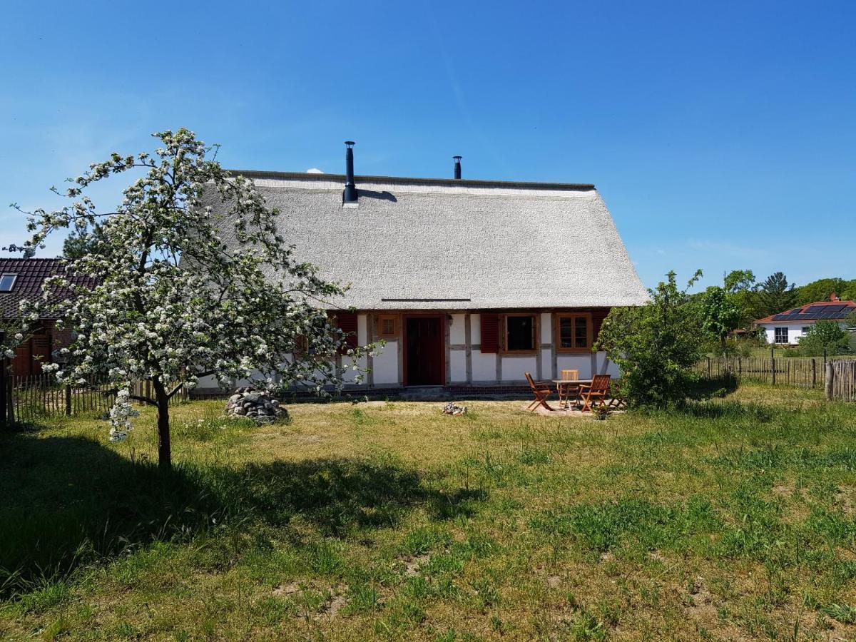 Fischerhus Luett Hauke 69 Qm Traudel Altwarp Exterior photo
